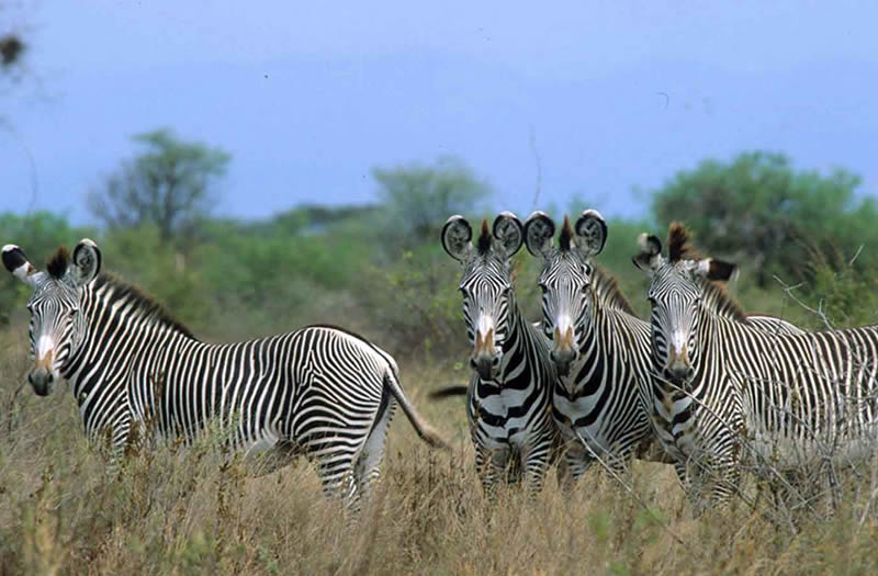 Lake Manyara