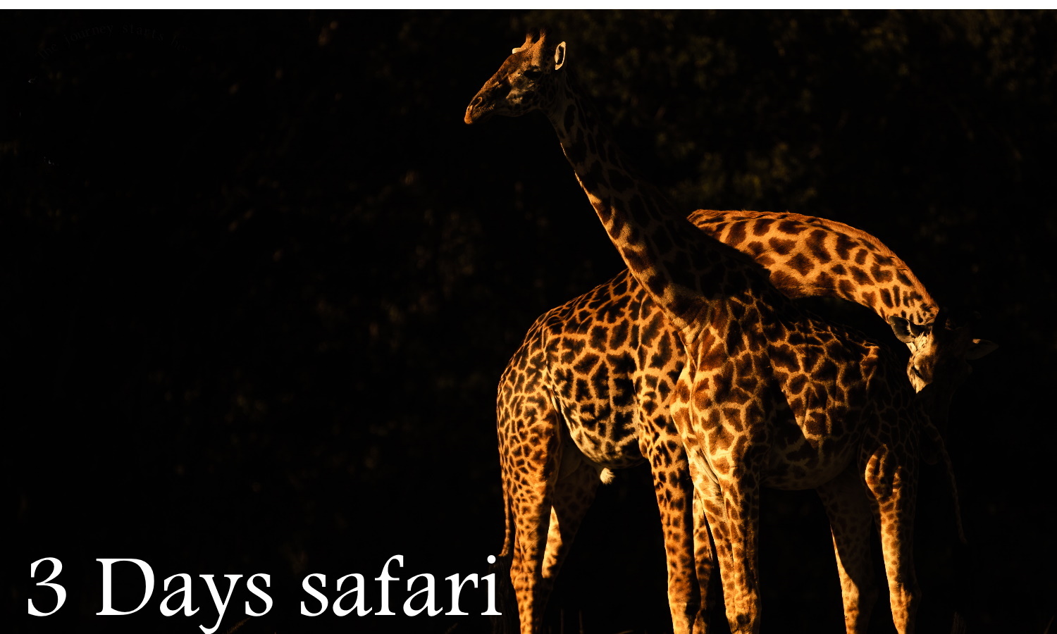 Second slide image