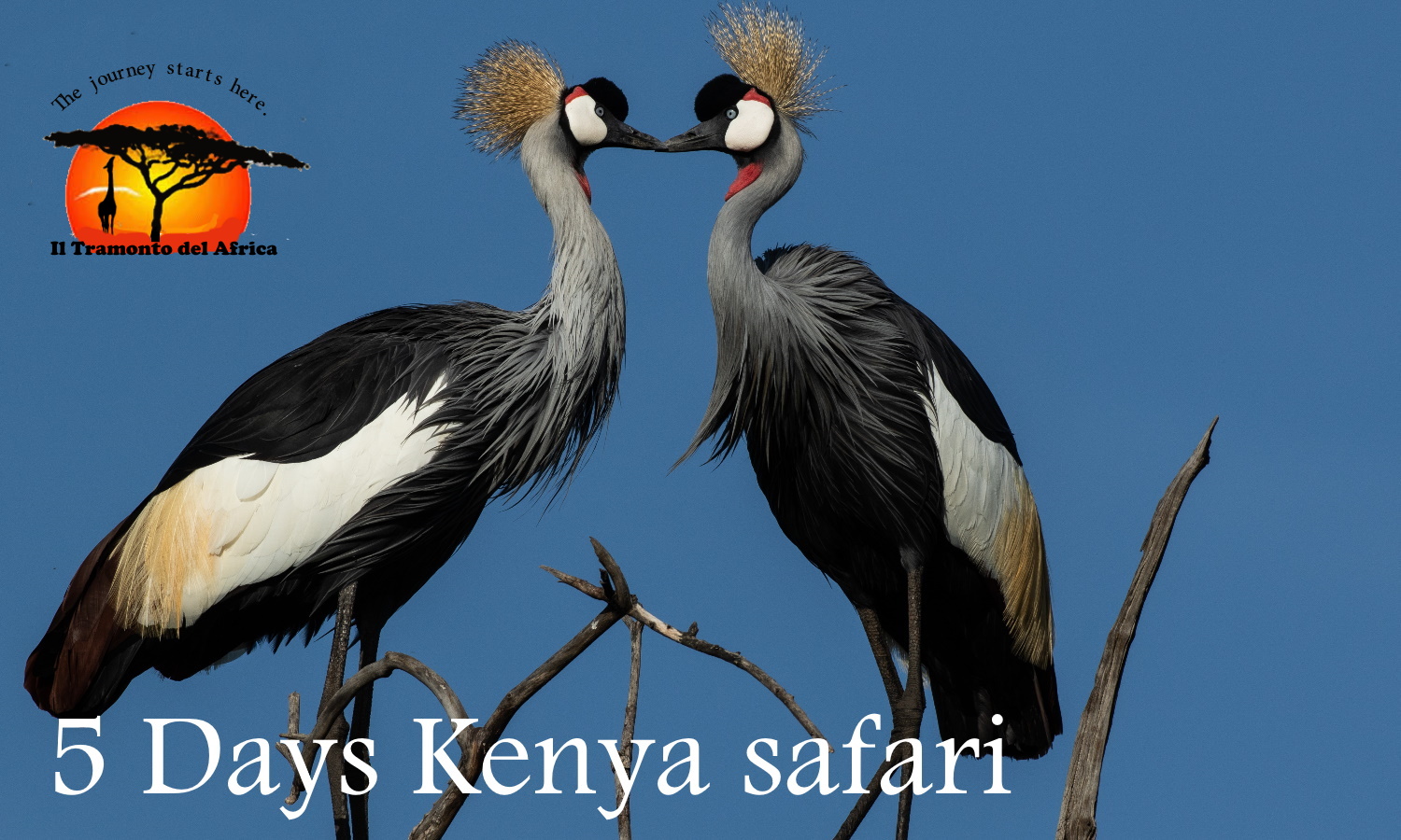 Second slide image