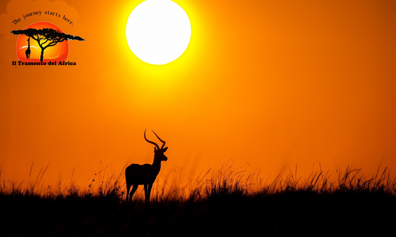 Second slide image